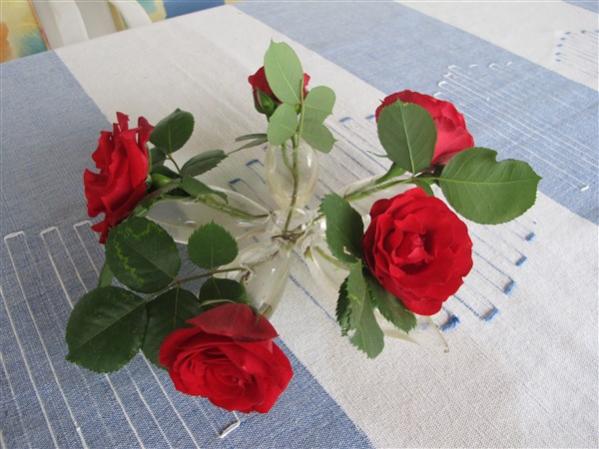 Name:  IMG_2774 (600 x 450).jpg
Views: 443
Size:  41.9 KB