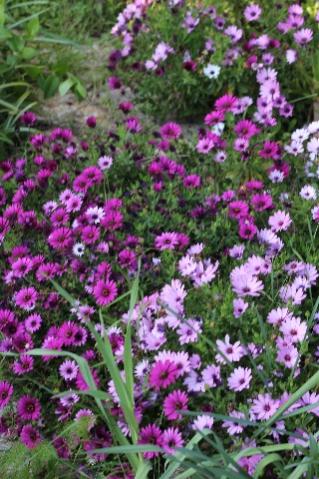 Name:  IMG_1600.jpg
Views: 524
Size:  43.6 KB
