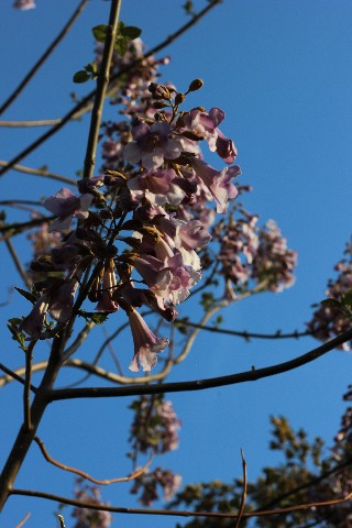 Name:  IMG_1639.jpg
Views: 520
Size:  64.2 KB