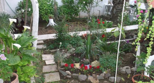 Name:  DSCF1321.jpg
Views: 820
Size:  54.5 KB