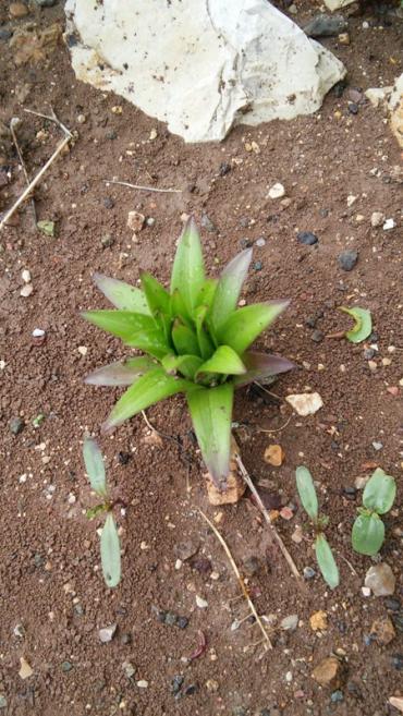 Name:  034.jpg
Views: 419
Size:  65.9 KB
