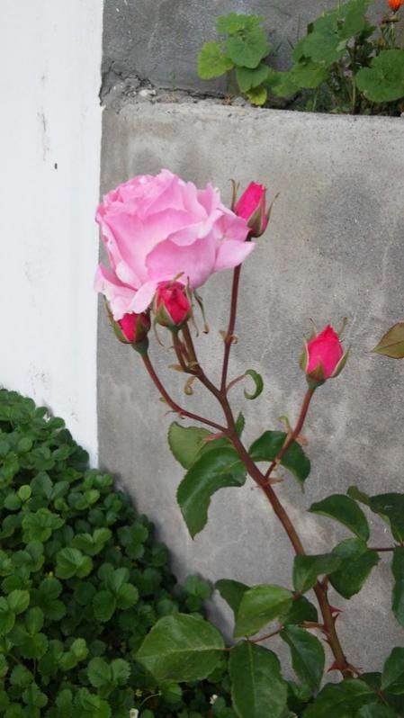 Name:  044.jpg
Views: 484
Size:  49.8 KB