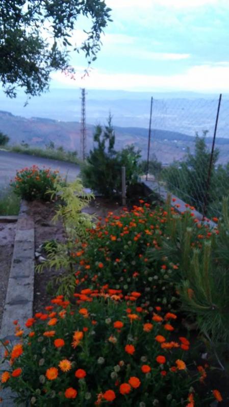 Name:  068.jpg
Views: 398
Size:  52.9 KB