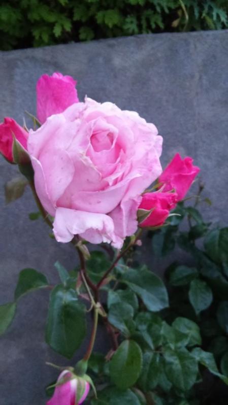 Name:  062.jpg
Views: 397
Size:  37.5 KB