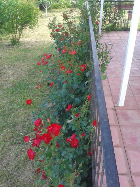 Name:  20180521_171650-min.jpg
Views: 1049
Size:  73.0 KB