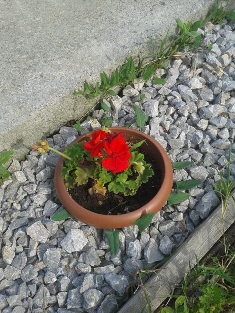 Name:  20180521_172036-min.jpg
Views: 1070
Size:  74.8 KB