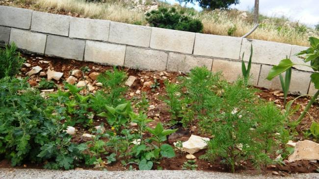 Name:  074.jpg
Views: 308
Size:  60.1 KB