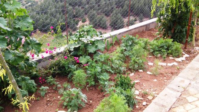 Name:  024.jpg
Views: 327
Size:  67.5 KB