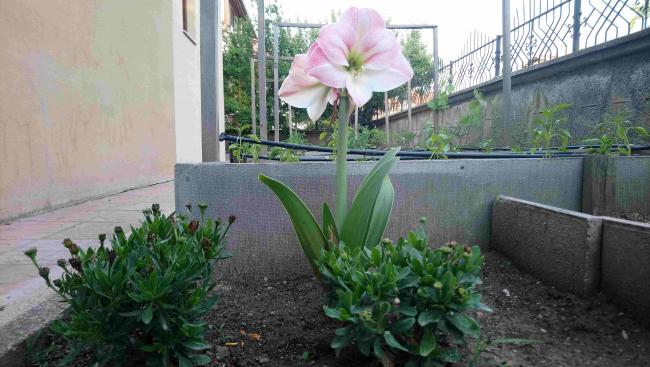 Name:  751.jpg
Views: 1681
Size:  46.2 KB