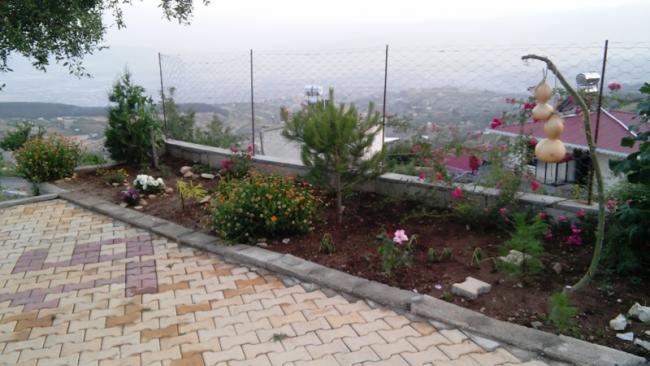 Name:  381.jpg
Views: 368
Size:  42.0 KB
