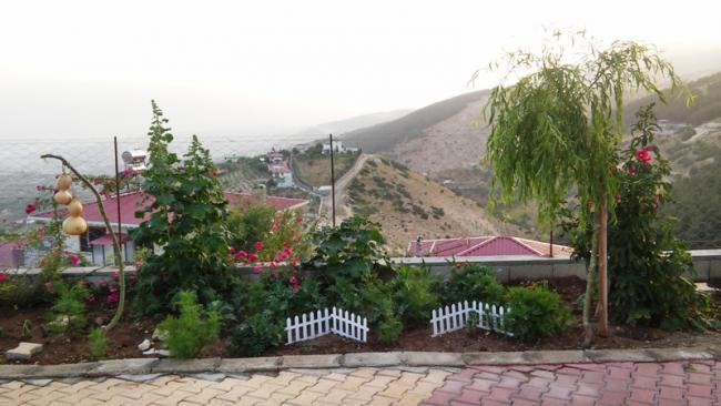 Name:  332.jpg
Views: 362
Size:  41.7 KB