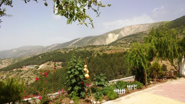 Name:  290.jpg
Views: 379
Size:  46.6 KB