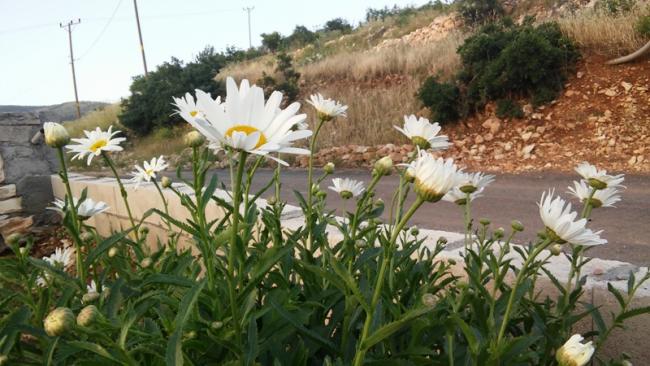 Name:  327.jpg
Views: 344
Size:  51.3 KB