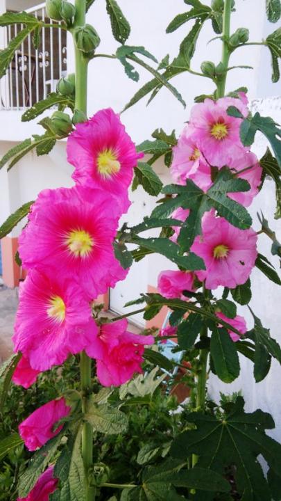 Name:  029.jpg
Views: 408
Size:  59.0 KB
