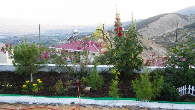Name:  039.jpg
Views: 381
Size:  44.8 KB