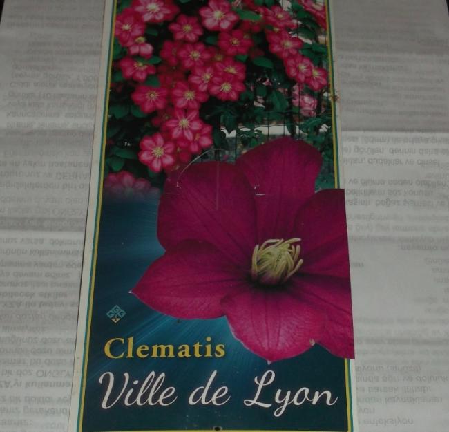 Name:  DSCF1505.jpg
Views: 704
Size:  44.3 KB