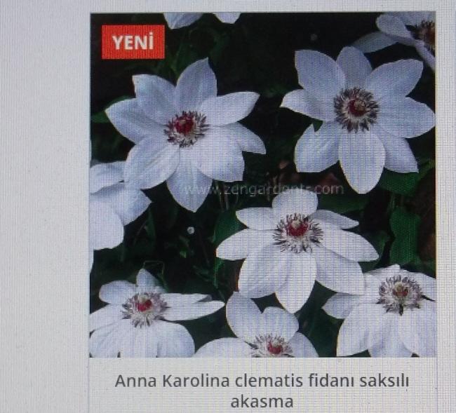 Name:  DSCF1527.jpg
Views: 702
Size:  63.8 KB