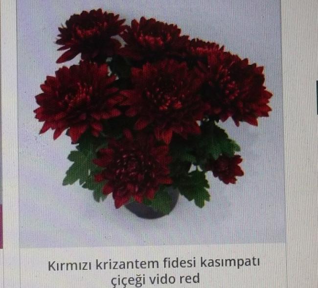 Name:  DSCF1524.jpg
Views: 714
Size:  59.7 KB