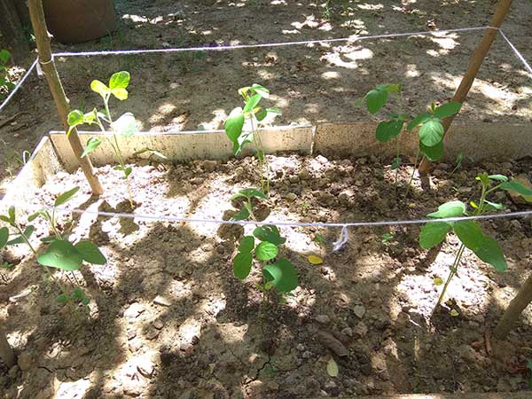 Name:  IMG_20180611_134324.jpg
Views: 408
Size:  66.8 KB