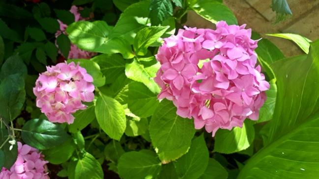 Name:  20180611_154832.jpg
Views: 835
Size:  40.4 KB