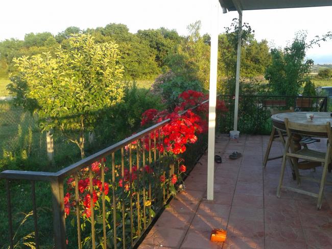 Name:  20180611_204006-min.jpg
Views: 812
Size:  66.5 KB