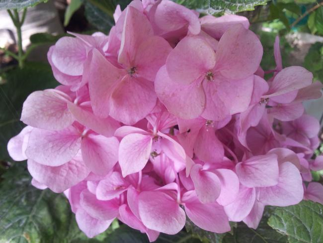 Name:  20180617_082837-min.jpg
Views: 605
Size:  43.3 KB