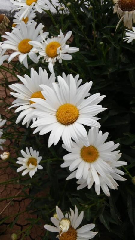 Name:  124.jpg
Views: 362
Size:  52.9 KB