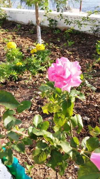 Name:  058.jpg
Views: 212
Size:  65.4 KB