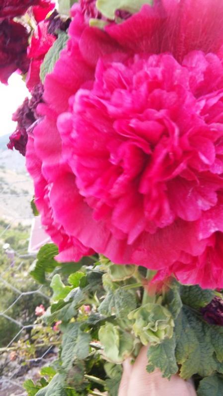 Name:  088.jpg
Views: 206
Size:  52.8 KB