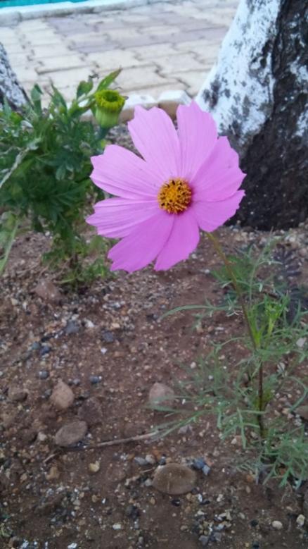 Name:  102.jpg
Views: 408
Size:  56.7 KB