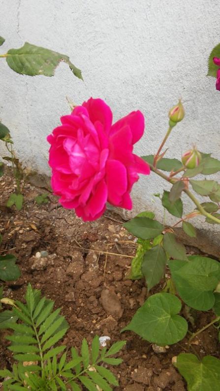 Name:  013.jpg
Views: 341
Size:  60.9 KB