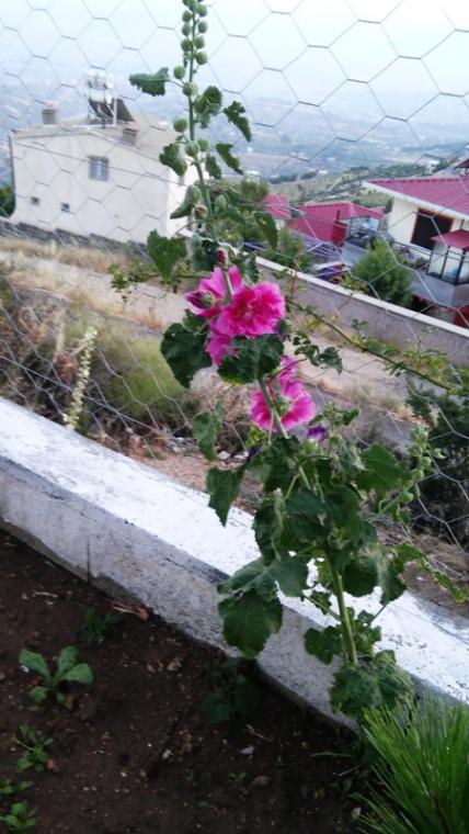 Name:  039.jpg
Views: 239
Size:  58.8 KB