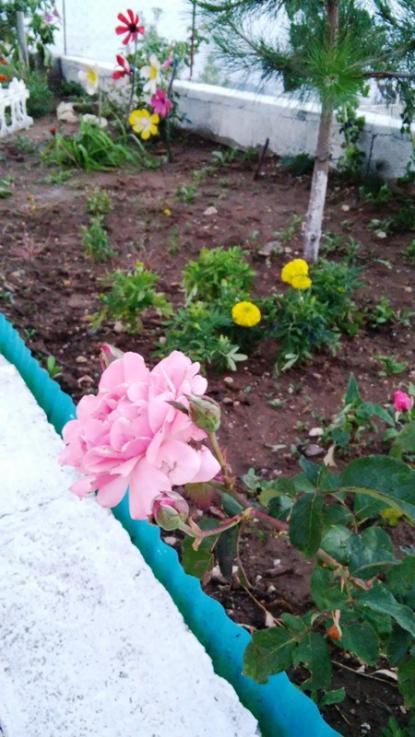 Name:  092.jpg
Views: 250
Size:  58.3 KB