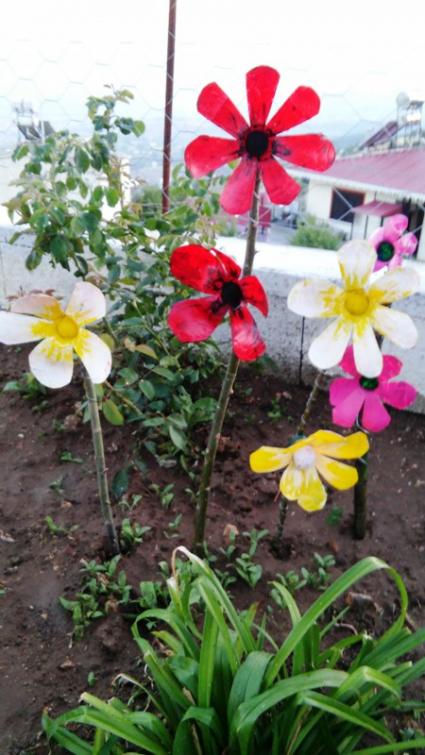 Name:  030.jpg
Views: 403
Size:  57.0 KB