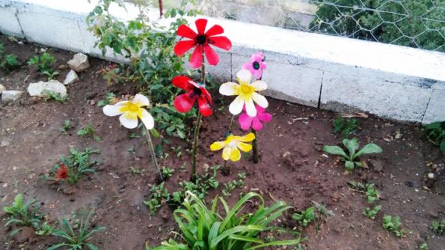Name:  032.jpg
Views: 252
Size:  53.7 KB
