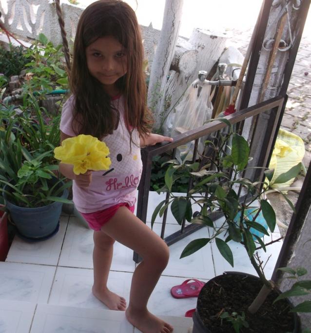 Name:  DSCF1583.jpg
Views: 527
Size:  70.4 KB