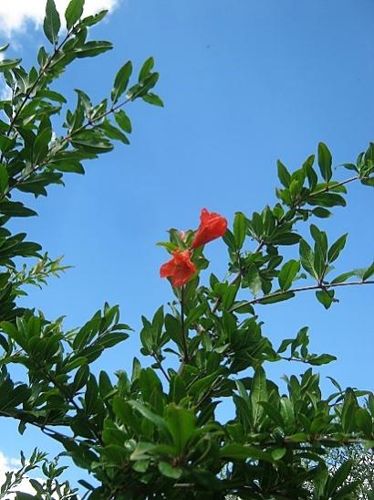 Name:  nar2.jpg
Views: 854
Size:  45.2 KB
