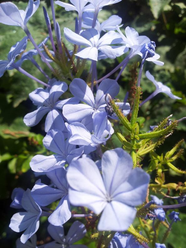 Name:  20180704_102015-min.jpg
Views: 693
Size:  73.2 KB