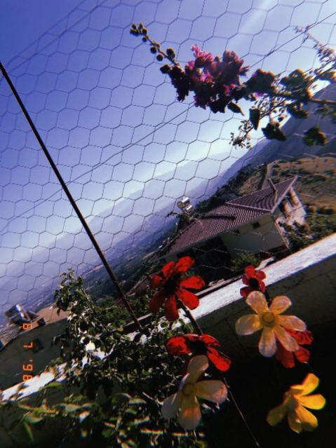 Name:  157.jpg
Views: 341
Size:  55.7 KB