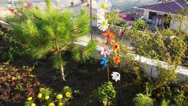Name:  049.jpg
Views: 334
Size:  68.7 KB