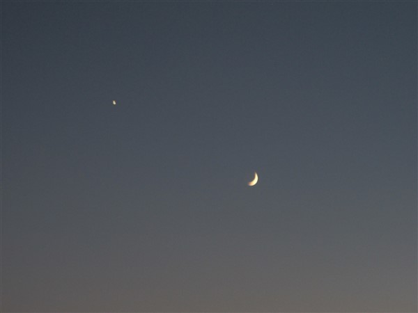 Name:  IMG_3496 (600 x 450).jpg
Views: 493
Size:  20.5 KB