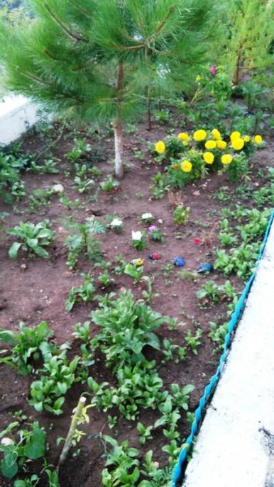 Name:  126.jpg
Views: 391
Size:  61.5 KB
