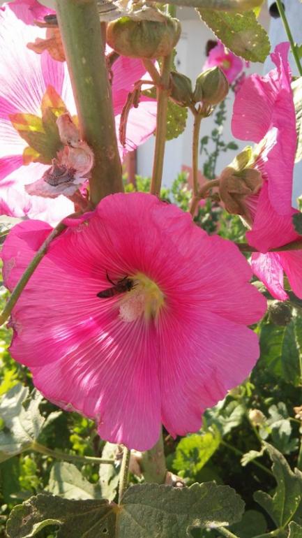 Name:  073.jpg
Views: 405
Size:  58.3 KB