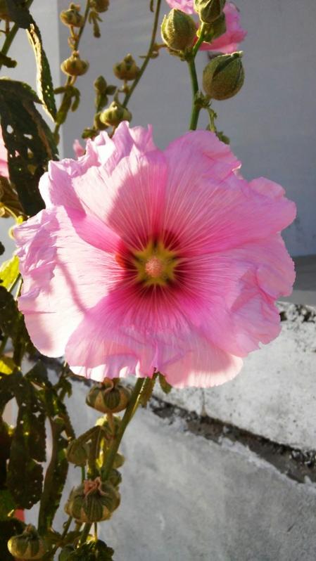 Name:  074.jpg
Views: 391
Size:  48.8 KB