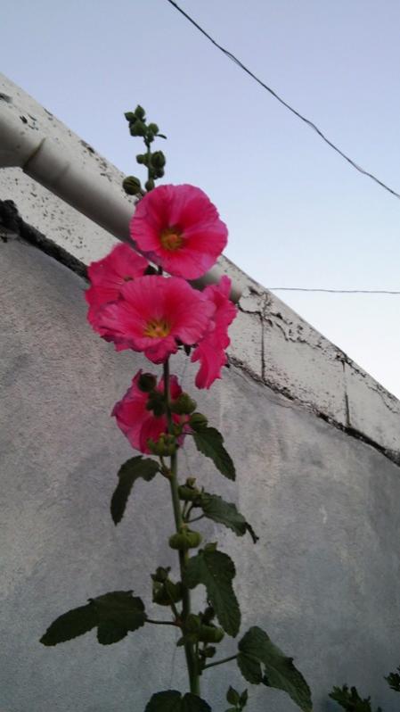 Name:  169.jpg
Views: 389
Size:  39.4 KB
