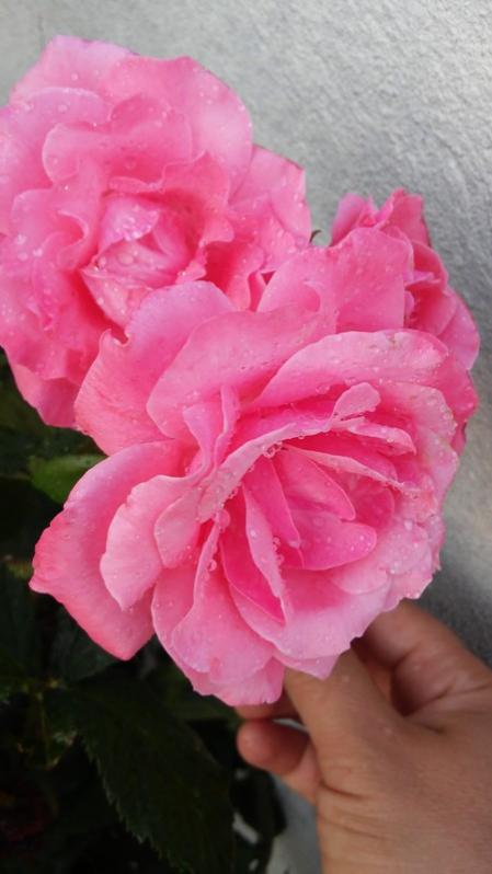 Name:  094.jpg
Views: 387
Size:  39.3 KB
