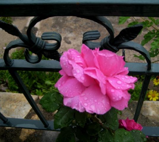 Name:  IMG_5314.jpg
Views: 896
Size:  35.7 KB