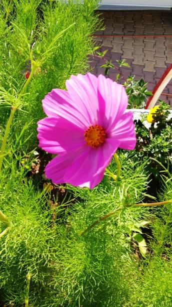 Name:  094.jpg
Views: 356
Size:  65.9 KB