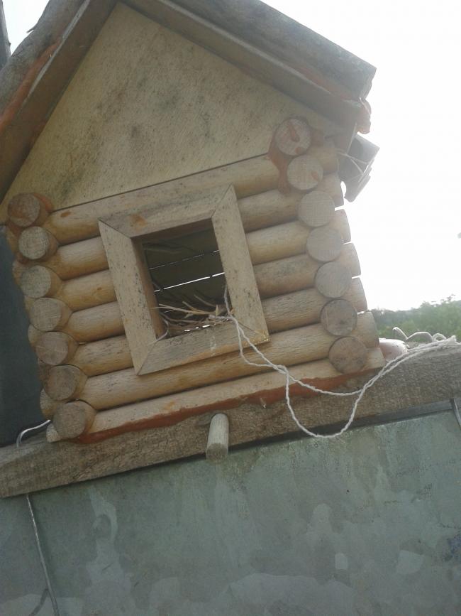Name:  20180725_181126-min.jpg
Views: 1334
Size:  55.1 KB