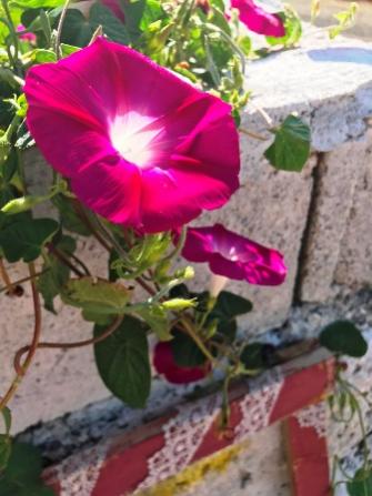 Name:  ba resimleri 165.jpg
Views: 319
Size:  28.0 KB